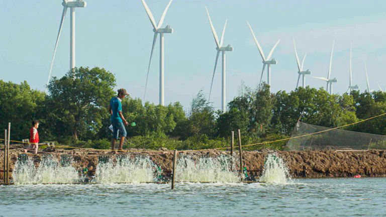 Ree Renewableenergy Final 4k0